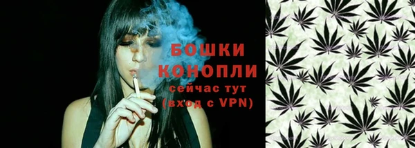 молекула духа Каменногорск