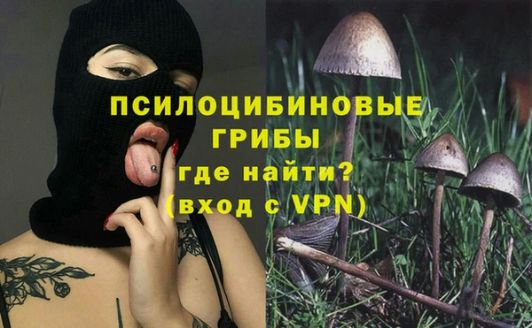 а пвп мука Каменка