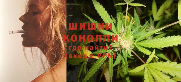 молекула духа Каменногорск