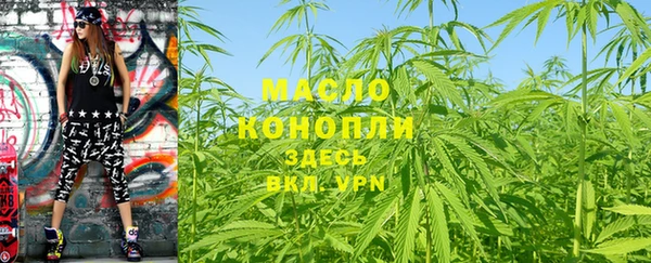 молекула духа Каменногорск